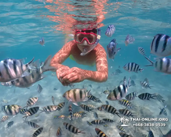 Underwater Odyssey snorkeling excursion in Pattaya Thailand photo 398