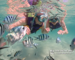 Underwater Odyssey snorkeling excursion Pattaya Thailand photo 19107