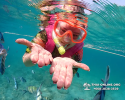 Underwater Odyssey snorkeling excursion Pattaya Thailand photo 11550