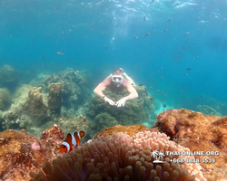 Underwater Odyssey snorkeling excursion Pattaya Thailand photo 14222