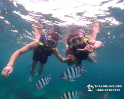 Underwater Odyssey snorkeling excursion in Pattaya Thailand photo 28