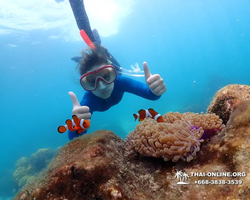 Underwater Odyssey snorkeling excursion in Pattaya Thailand photo 707