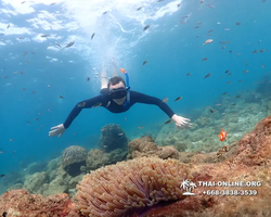 Underwater Odyssey snorkeling excursion Pattaya Thailand photo 11371