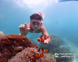 Underwater Odyssey snorkeling excursion in Pattaya Thailand photo 537