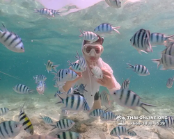 Underwater Odyssey snorkeling tour from Pattaya Thailand photo 18305