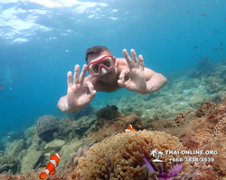 Underwater Odyssey snorkeling excursion Pattaya Thailand photo 11427