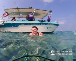 Underwater Odyssey snorkeling excursion Pattaya Thailand photo 11324