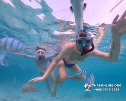 Underwater Odyssey snorkeling excursion Pattaya Thailand photo 11083