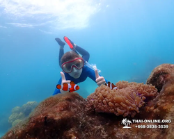 Underwater Odyssey snorkeling excursion in Pattaya Thailand photo 987