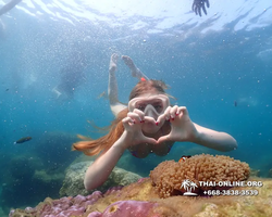 Underwater Odyssey snorkeling excursion Pattaya Thailand photo 11577