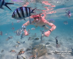 Underwater Odyssey snorkeling excursion in Pattaya Thailand photo 431