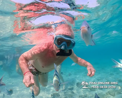 Underwater Odyssey snorkeling excursion Pattaya Thailand photo 11073