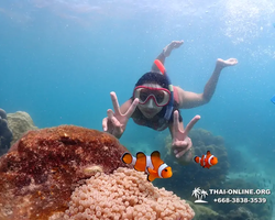 Underwater Odyssey snorkeling excursion in Pattaya Thailand photo 397