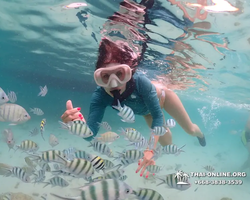 Underwater Odyssey snorkeling excursion in Pattaya Thailand photo 54