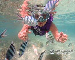 Underwater Odyssey snorkeling excursion Pattaya Thailand photo 19229