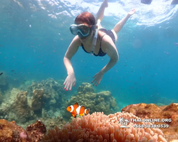 Underwater Odyssey snorkeling tour from Pattaya Thailand photo 14362