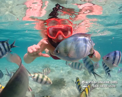 Underwater Odyssey snorkeling tour from Pattaya Thailand photo 14269