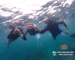 Underwater Odyssey snorkeling excursion in Pattaya Thailand photo 38