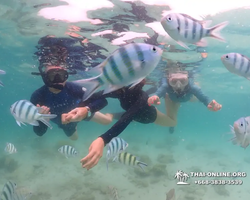 Underwater Odyssey snorkeling excursion in Pattaya Thailand photo 204