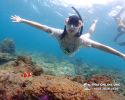 Underwater Odyssey snorkeling excursion Pattaya Thailand photo 11399