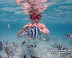 Underwater Odyssey snorkeling excursion in Pattaya Thailand photo 515