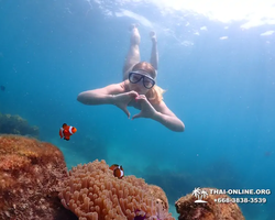 Underwater Odyssey snorkeling excursion in Pattaya Thailand photo 1008
