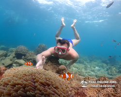 Underwater Odyssey snorkeling excursion Pattaya Thailand photo 11419