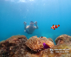 Underwater Odyssey snorkeling excursion in Pattaya Thailand photo 644