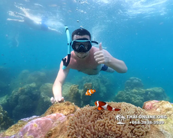 Underwater Odyssey snorkeling excursion Pattaya Thailand photo 11588