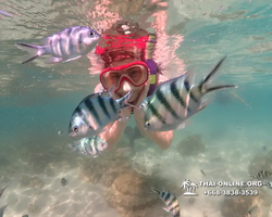 Underwater Odyssey snorkeling excursion Pattaya Thailand photo 19401