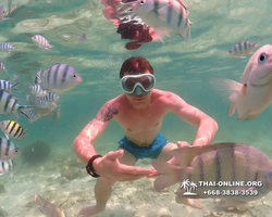 Underwater Odyssey snorkeling tour from Pattaya Thailand photo 18393