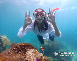 Underwater Odyssey snorkeling excursion in Pattaya Thailand photo 524