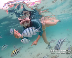 Underwater Odyssey snorkeling excursion in Pattaya Thailand photo 141