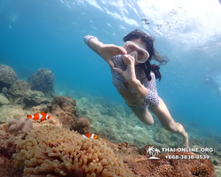 Underwater Odyssey snorkeling excursion Pattaya Thailand photo 11354