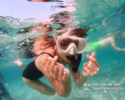 Underwater Odyssey snorkeling excursion Pattaya Thailand photo 11557