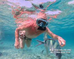 Underwater Odyssey snorkeling excursion Pattaya Thailand photo 11080