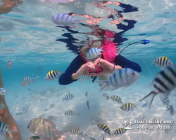 Underwater Odyssey snorkeling excursion in Pattaya Thailand photo 853