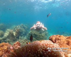 Underwater Odyssey snorkeling tour from Pattaya Thailand photo 14286