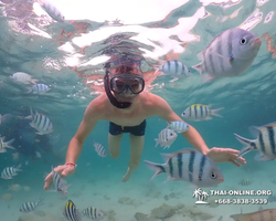 Underwater Odyssey snorkeling excursion in Pattaya Thailand photo 96