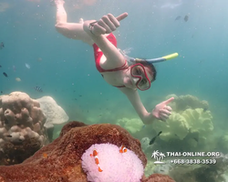 Underwater Odyssey snorkeling excursion Pattaya Thailand photo 19489