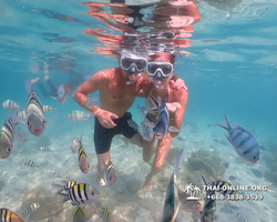 Underwater Odyssey snorkeling tour from Pattaya Thailand photo 14301