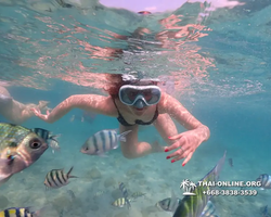 Underwater Odyssey snorkeling tour from Pattaya Thailand photo 14194