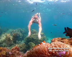 Underwater Odyssey snorkeling tour from Pattaya Thailand photo 14357