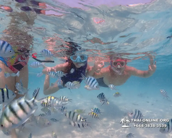 Underwater Odyssey snorkeling excursion in Pattaya Thailand photo 660