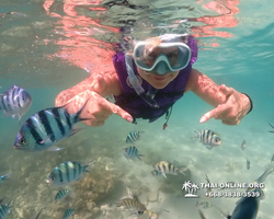 Underwater Odyssey snorkeling excursion Pattaya Thailand photo 19282