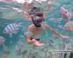 Underwater Odyssey snorkeling excursion in Pattaya Thailand photo 68