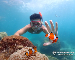 Underwater Odyssey snorkeling excursion in Pattaya Thailand photo 536