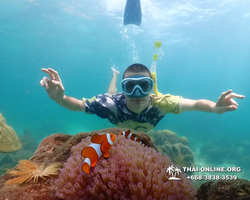 Underwater Odyssey snorkeling tour from Pattaya Thailand photo 18528