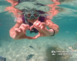 Underwater Odyssey snorkeling excursion Pattaya Thailand photo 19355