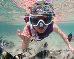 Underwater Odyssey snorkeling excursion Pattaya Thailand photo 19110